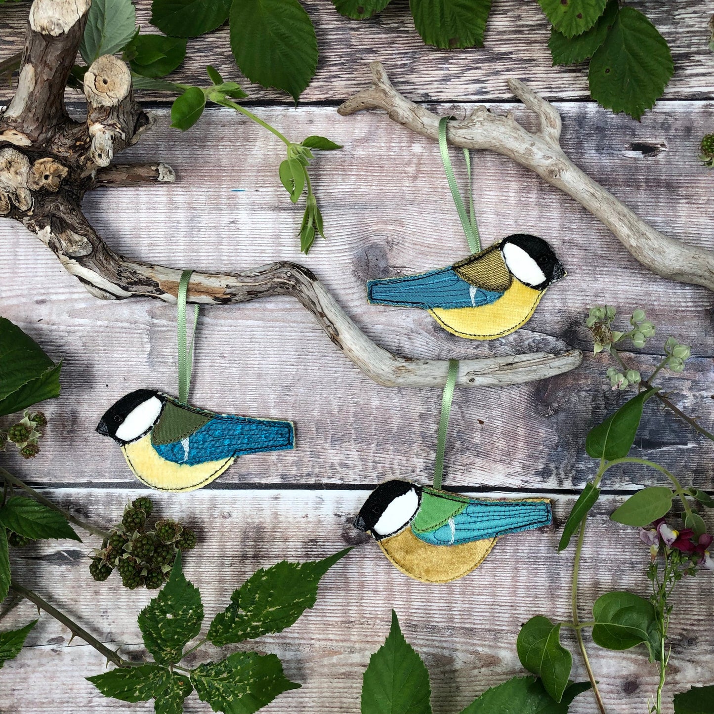 Hanging Great Tit