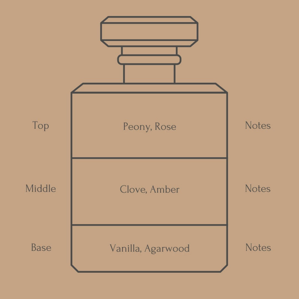 A minimalist line drawing of a perfume bottle centered on a warm tan background, with text labels for Top notes (Peony, Rose), Middle notes (Clove, Amber), and Base notes (Vanilla, Agarwood) arranged around the bottle.