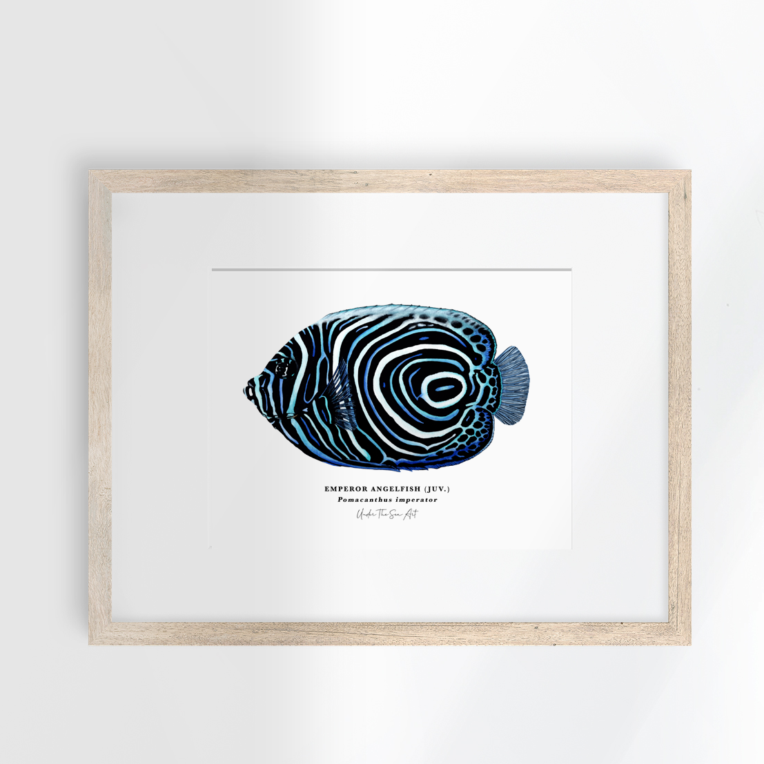 Marine Life Art Work - A4 & A5