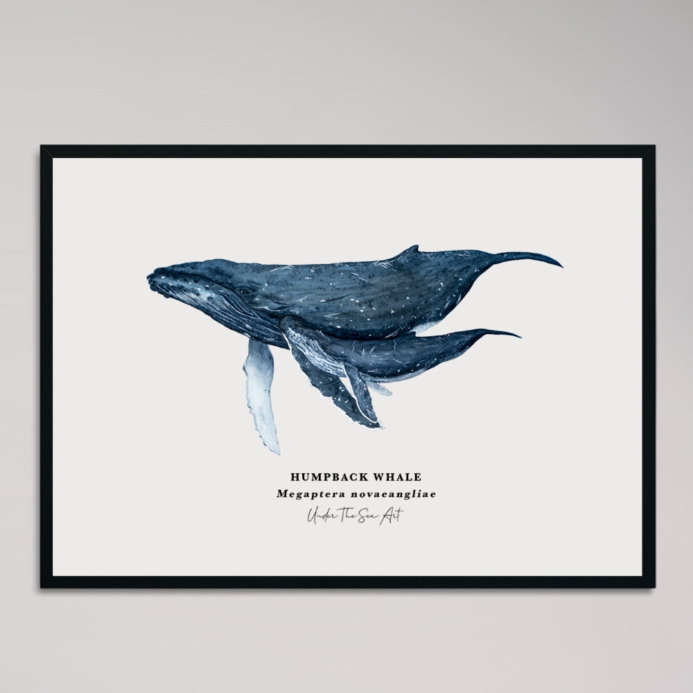 Marine Life Art Work - A4 & A5