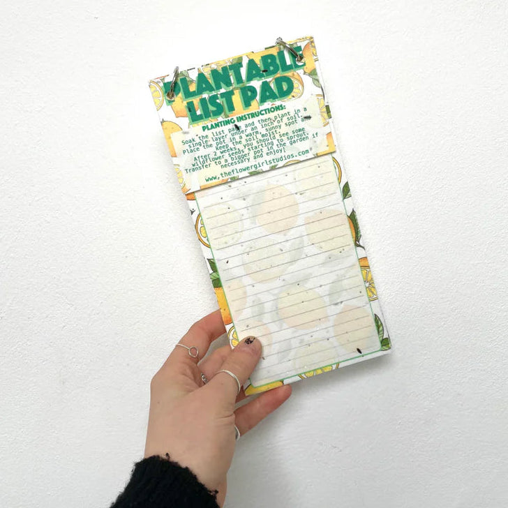 Hand holding a plantable list pad with seeds on a white background