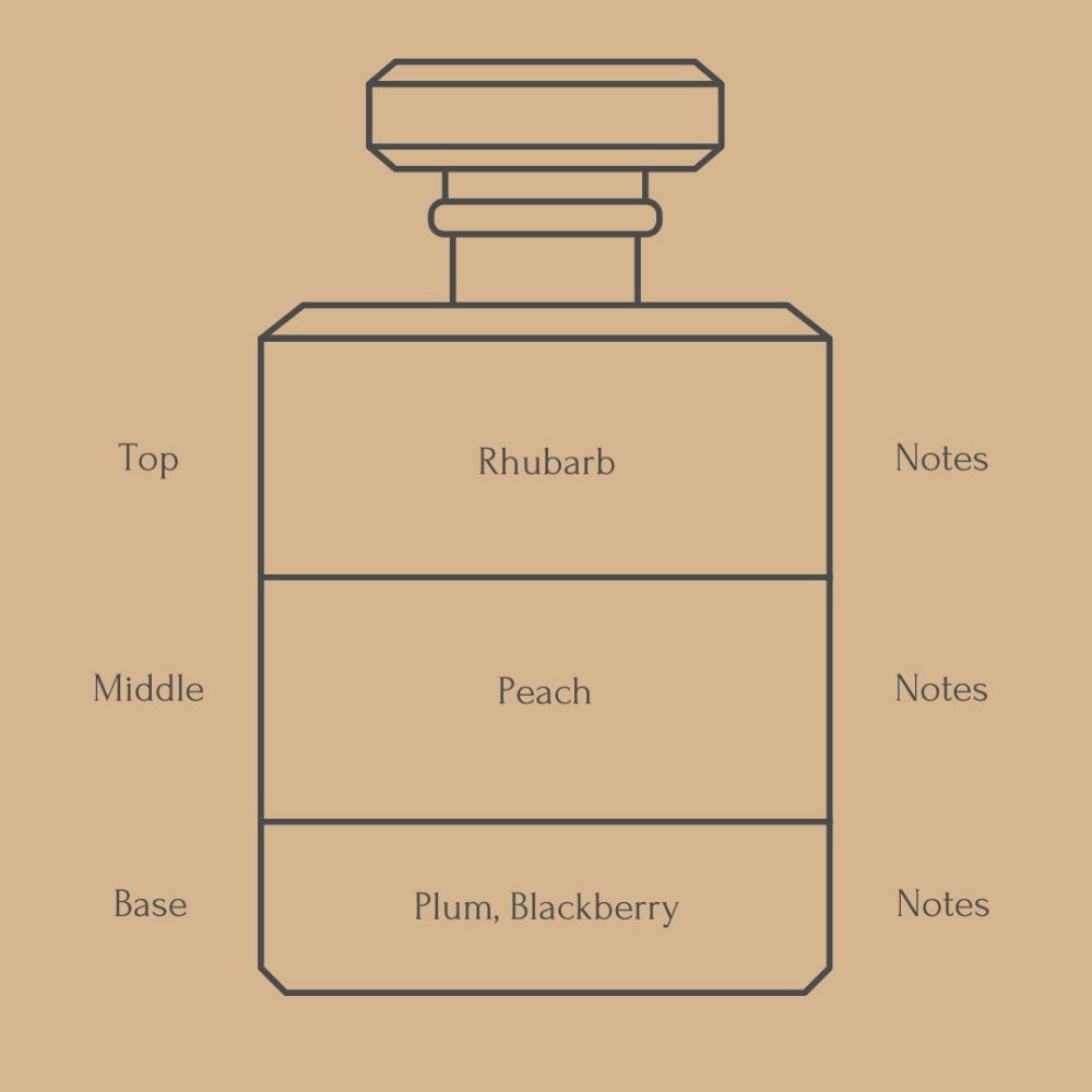 A simple line drawing of a perfume bottle on a tan background, with labeled fragrance notes: Rhubarb and Peach Notes in the top and middle sections, and Plum, Blackberry Notes in the bottom section.