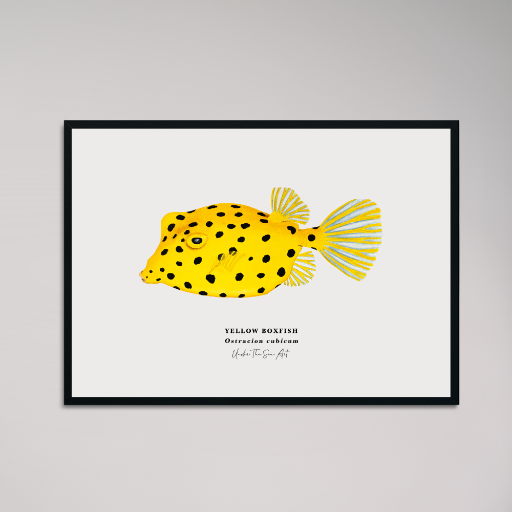 Framed illustration of a yellow fish with black spots on a white wall.