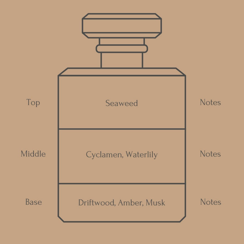 A minimalist line drawing of a perfume bottle on a warm tan background, with text labeling top, middle, and base notes including Seaweed, Cyclamen, Waterlily, Driftwood, Amber, Musk, and Notes.