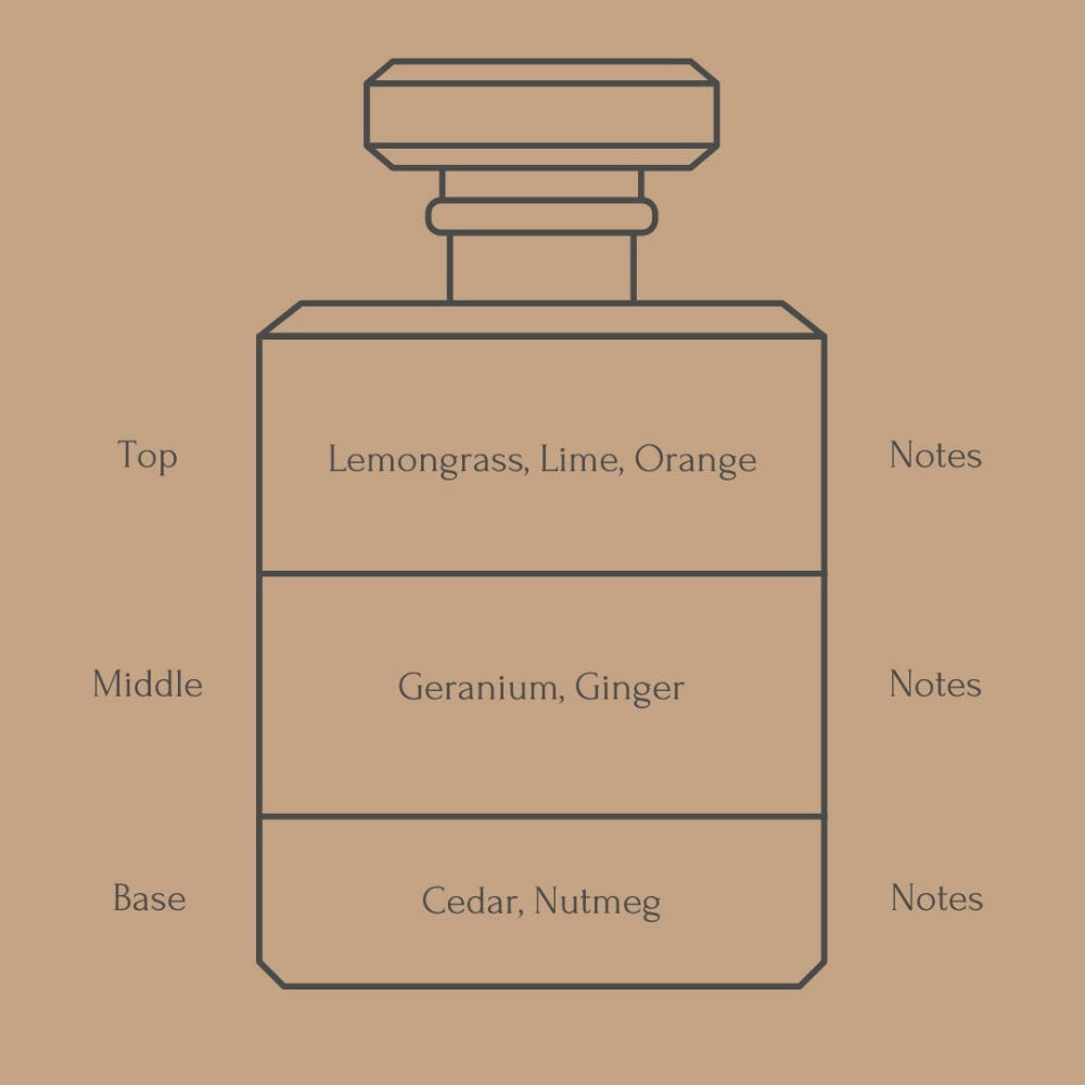A minimalist line drawing of a perfume bottle on a warm tan background, with text labeling fragrance notes: Top as Lemongrass, Lime, and Orange; Middle as Geranium and Ginger; Base as Cedar and Nutmeg.