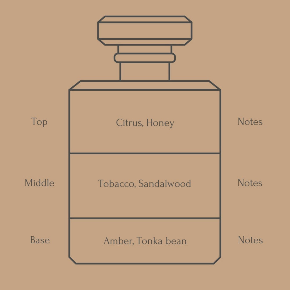 A minimalist line drawing of a perfume bottle on a warm tan background, with text labels for Top notes (Citrus, Honey), Middle notes (Tobacco, Sandalwood), Base notes (Amber, Tonka bean), and Notes beside the bottle.