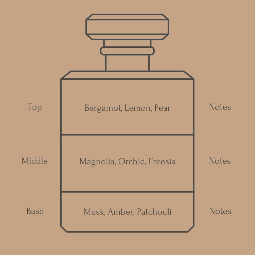 A minimalist line drawing of a perfume bottle on a warm tan background, with text labels for Top notes (Bergamot, Lemon, Pear), Middle notes (Magnolia, Orchid, Freesia), and Base notes (Musk, Amber, Patchouli).
