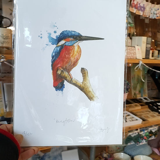Kingfisher Print A4 Video