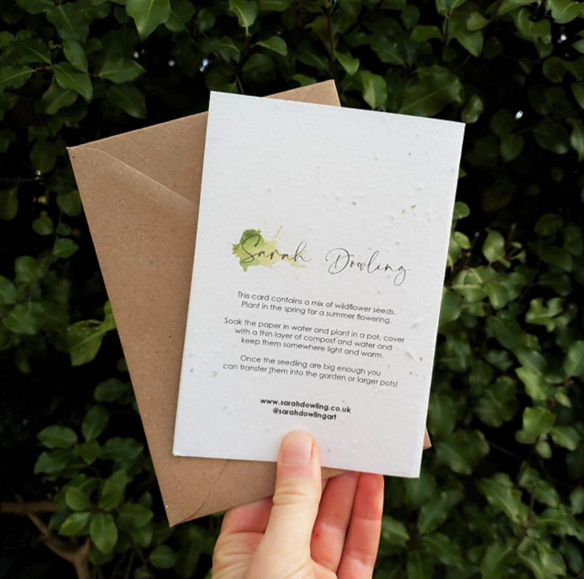 Blue Tit Wildflower Seed Card
