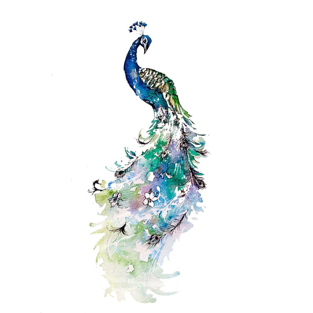 Peacock Card