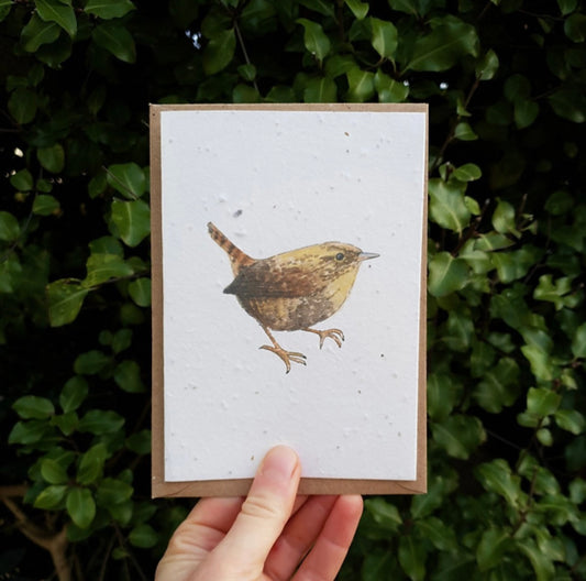 Wren Wildflower Seed Card